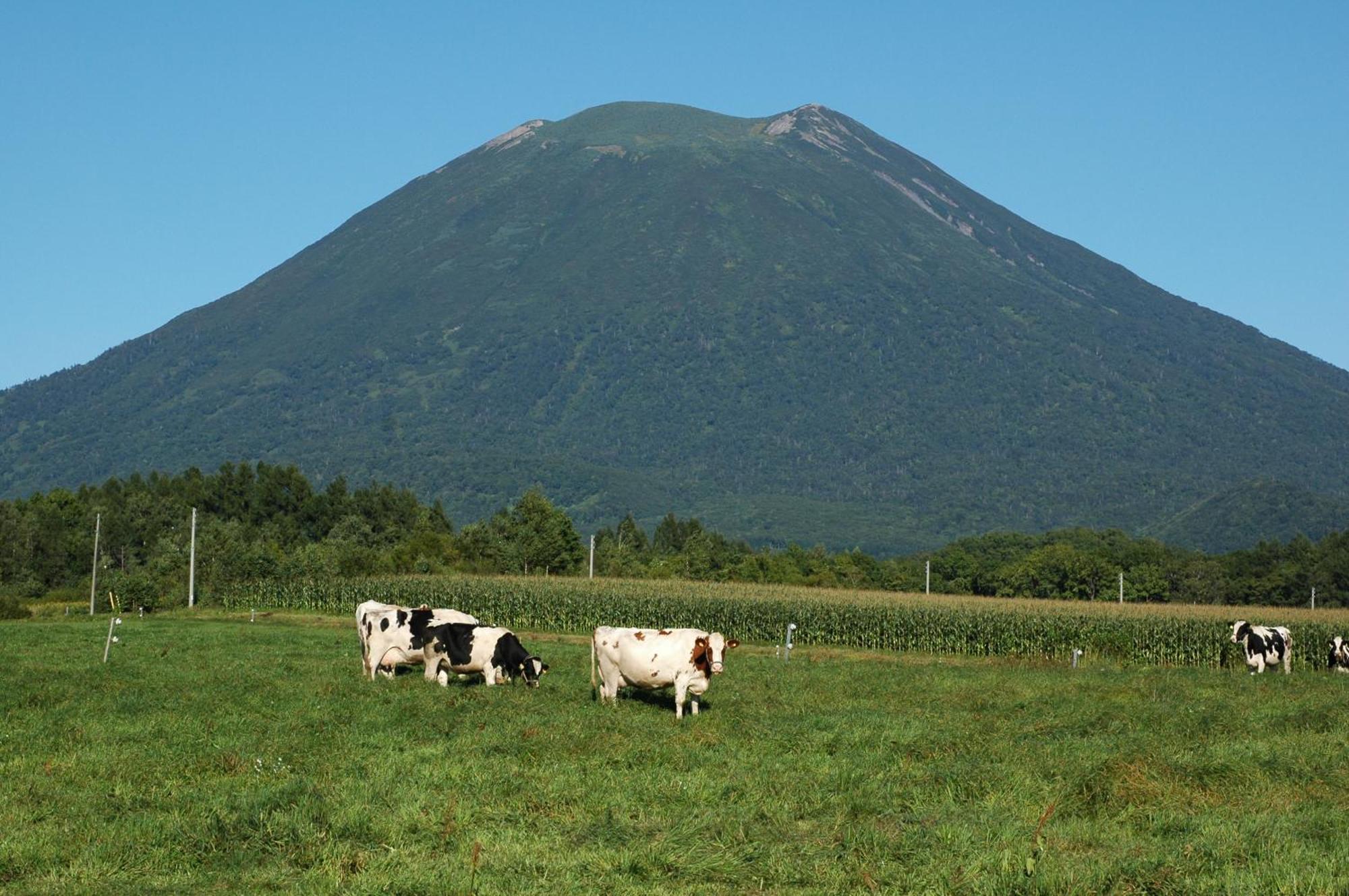 Niseko Highland Cottages Экстерьер фото